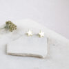 The stars